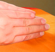 feldenkrais